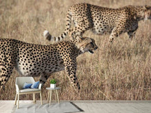 Laden Sie das Bild in den Galerie-Viewer, Fototapete 2 Leoparden