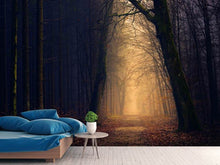 Laden Sie das Bild in den Galerie-Viewer, Fototapete Abendstimmung im Wald