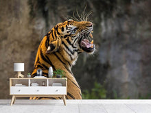 Laden Sie das Bild in den Galerie-Viewer, Fototapete Achtung Tiger