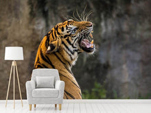 Laden Sie das Bild in den Galerie-Viewer, Fototapete Achtung Tiger