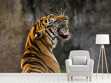 Laden Sie das Bild in den Galerie-Viewer, Fototapete Achtung Tiger
