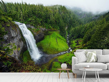 Laden Sie das Bild in den Galerie-Viewer, Fototapete Ausblick Wasserfall
