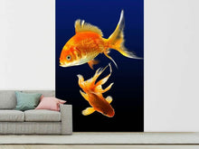 Laden Sie das Bild in den Galerie-Viewer, Fototapete Bezaubernde Fische
