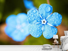 Laden Sie das Bild in den Galerie-Viewer, Fototapete Blaue Blume mit Morgentau