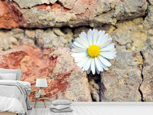 Laden Sie das Bild in den Galerie-Viewer, Fototapete Blume in der Wand