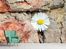 Laden Sie das Bild in den Galerie-Viewer, Fototapete Blume in der Wand