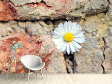 Laden Sie das Bild in den Galerie-Viewer, Fototapete Blume in der Wand