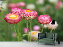 Laden Sie das Bild in den Galerie-Viewer, Fototapete Blumen des Frühlings