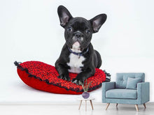 Laden Sie das Bild in den Galerie-Viewer, Fototapete Bulldogge zum Verlieben