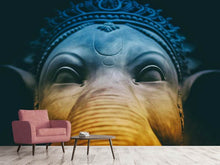 Laden Sie das Bild in den Galerie-Viewer, Fototapete Close up Ganesha