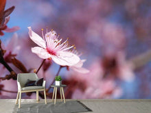 Laden Sie das Bild in den Galerie-Viewer, Fototapete Close up Kirschblüte