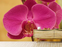 Laden Sie das Bild in den Galerie-Viewer, Fototapete Close up Orchidee in pink