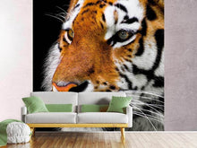 Laden Sie das Bild in den Galerie-Viewer, Fototapete Close up Tiger Kopf