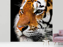 Laden Sie das Bild in den Galerie-Viewer, Fototapete Close up Tiger Kopf