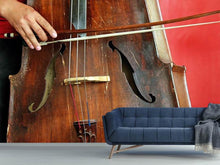 Laden Sie das Bild in den Galerie-Viewer, Fototapete Das Cello