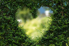 Laden Sie das Bild in den Galerie-Viewer, Fototapete Das Herz in der Hecke