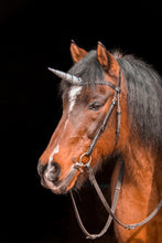 Laden Sie das Bild in den Galerie-Viewer, Fototapete Das letzte Einhorn