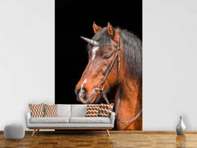 Laden Sie das Bild in den Galerie-Viewer, Fototapete Das letzte Einhorn