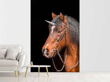 Laden Sie das Bild in den Galerie-Viewer, Fototapete Das letzte Einhorn