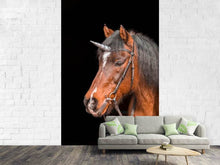 Laden Sie das Bild in den Galerie-Viewer, Fototapete Das letzte Einhorn