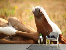 Laden Sie das Bild in den Galerie-Viewer, Fototapete Das schlafende Pferd
