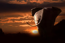 Laden Sie das Bild in den Galerie-Viewer, Fototapete Dem Sonnenuntergang entgegen