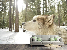 Laden Sie das Bild in den Galerie-Viewer, Fototapete Der Alaskan Malamute