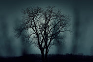 Fototapete Der Baum in Dunkelheit