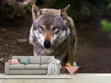 Laden Sie das Bild in den Galerie-Viewer, Fototapete Der böse Wolf