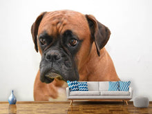 Laden Sie das Bild in den Galerie-Viewer, Fototapete Der Boxer