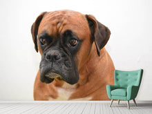 Laden Sie das Bild in den Galerie-Viewer, Fototapete Der Boxer