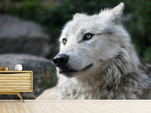 Laden Sie das Bild in den Galerie-Viewer, Fototapete Der einsame Wolf