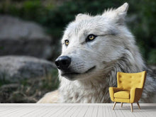 Laden Sie das Bild in den Galerie-Viewer, Fototapete Der einsame Wolf