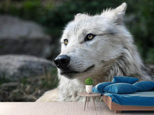 Laden Sie das Bild in den Galerie-Viewer, Fototapete Der einsame Wolf