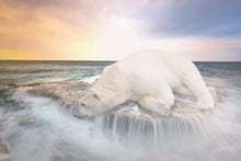 Laden Sie das Bild in den Galerie-Viewer, Fototapete Der Eisbär und das Meer