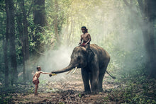 Laden Sie das Bild in den Galerie-Viewer, Fototapete Der Elefant bei der Arbeit