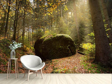 Laden Sie das Bild in den Galerie-Viewer, Fototapete Der Fels im Wald