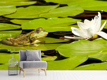 Laden Sie das Bild in den Galerie-Viewer, Fototapete Der Frosch und die Seerose