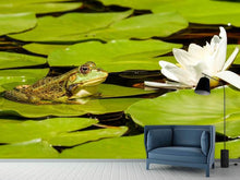 Laden Sie das Bild in den Galerie-Viewer, Fototapete Der Frosch und die Seerose