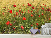 Laden Sie das Bild in den Galerie-Viewer, Fototapete Der Mohn im Wind