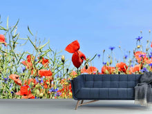 Laden Sie das Bild in den Galerie-Viewer, Fototapete Der Mohn in der Blumenwiese