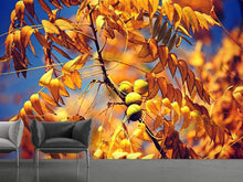Laden Sie das Bild in den Galerie-Viewer, Fototapete Der Nussbaum XL