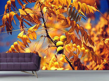 Laden Sie das Bild in den Galerie-Viewer, Fototapete Der Nussbaum XL