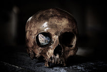 Laden Sie das Bild in den Galerie-Viewer, Fototapete Der Schädel