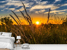 Laden Sie das Bild in den Galerie-Viewer, Fototapete Der Sonnenuntergang auf dem Feld