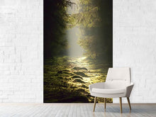 Laden Sie das Bild in den Galerie-Viewer, Fototapete Der wilde Weg