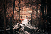 Laden Sie das Bild in den Galerie-Viewer, Fototapete Der Winter kommt