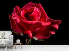 Laden Sie das Bild in den Galerie-Viewer, Fototapete Die Blume der Liebe