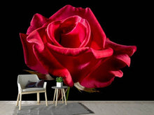 Laden Sie das Bild in den Galerie-Viewer, Fototapete Die Blume der Liebe