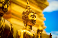 Laden Sie das Bild in den Galerie-Viewer, Fototapete Die goldenen Buddhas